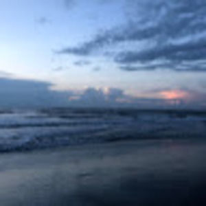 Meet your Posher, Vanessa martin